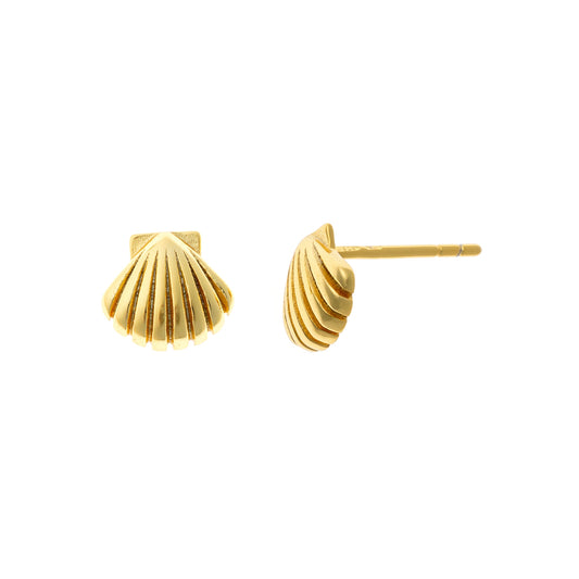 Sterling Silver Shell Studs