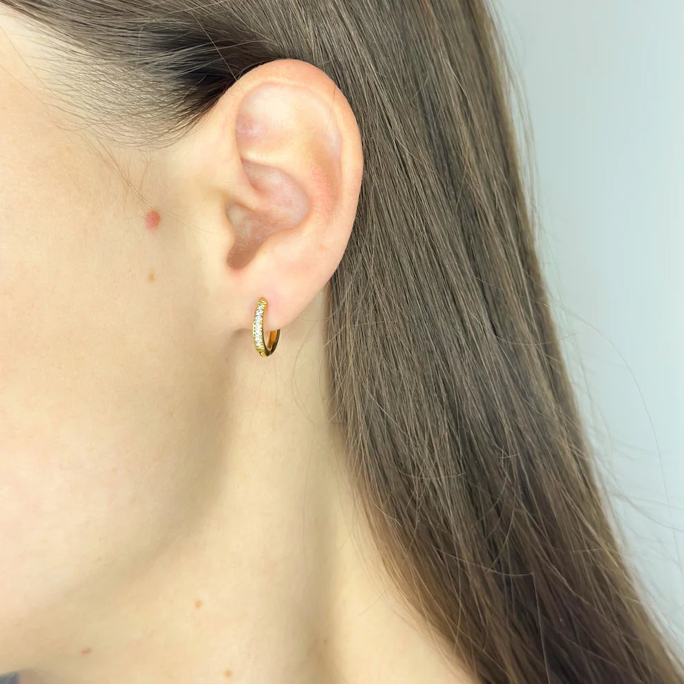 Stainless Steel CZ Hoops