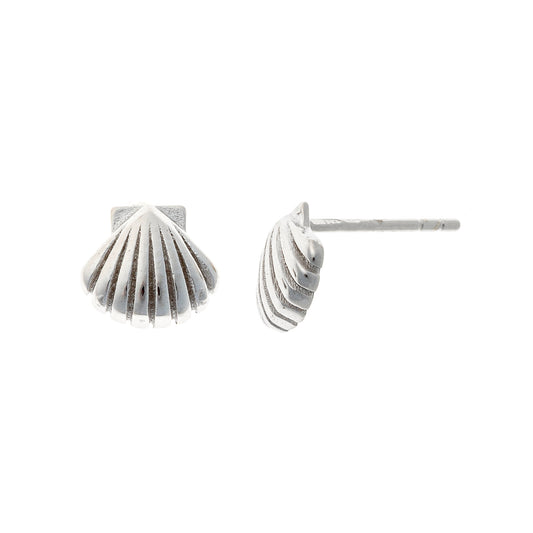 Sterling Silver Shell Studs