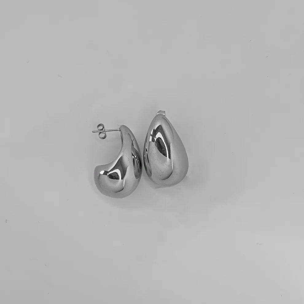 Stainless Steel Teardrop Earrings